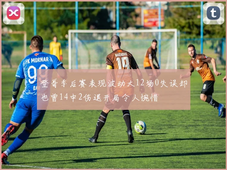 登哥季后赛表现波动大12场0失误却也曾14中2伤退开局令人惋惜
