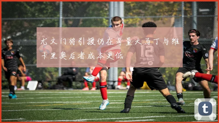 尤文门将引援仍在考量大马丁与维卡里奥后者成本更低