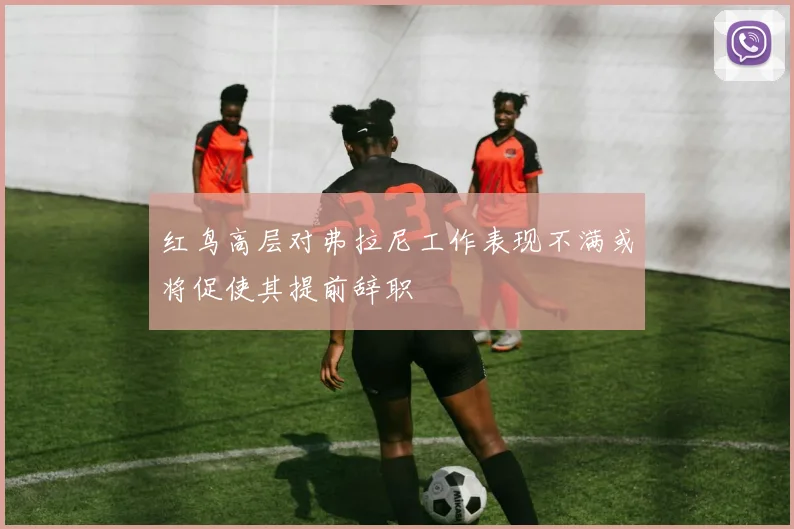 红鸟高层对弗拉尼工作表现不满或将促使其提前辞职